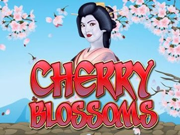 Cherry Blossoms